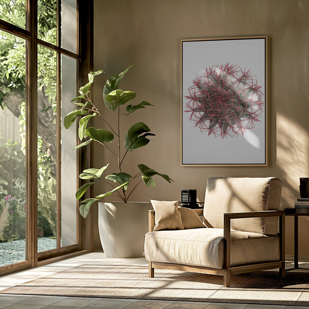 Cacti Poster